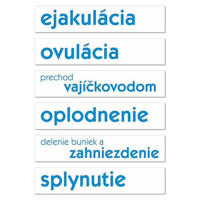 Rozmnožovacia sústava - magnetická sada