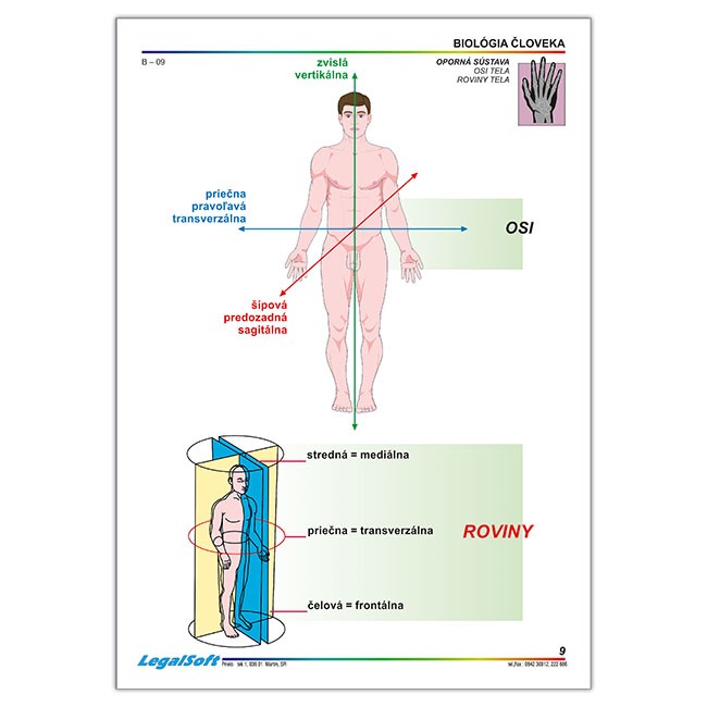 BIOLÓGIA ČLOVEKA pre SŠ, kartónové obrazy