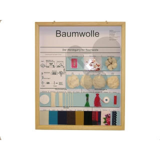 Bavlna, kolekcia vo vitríne